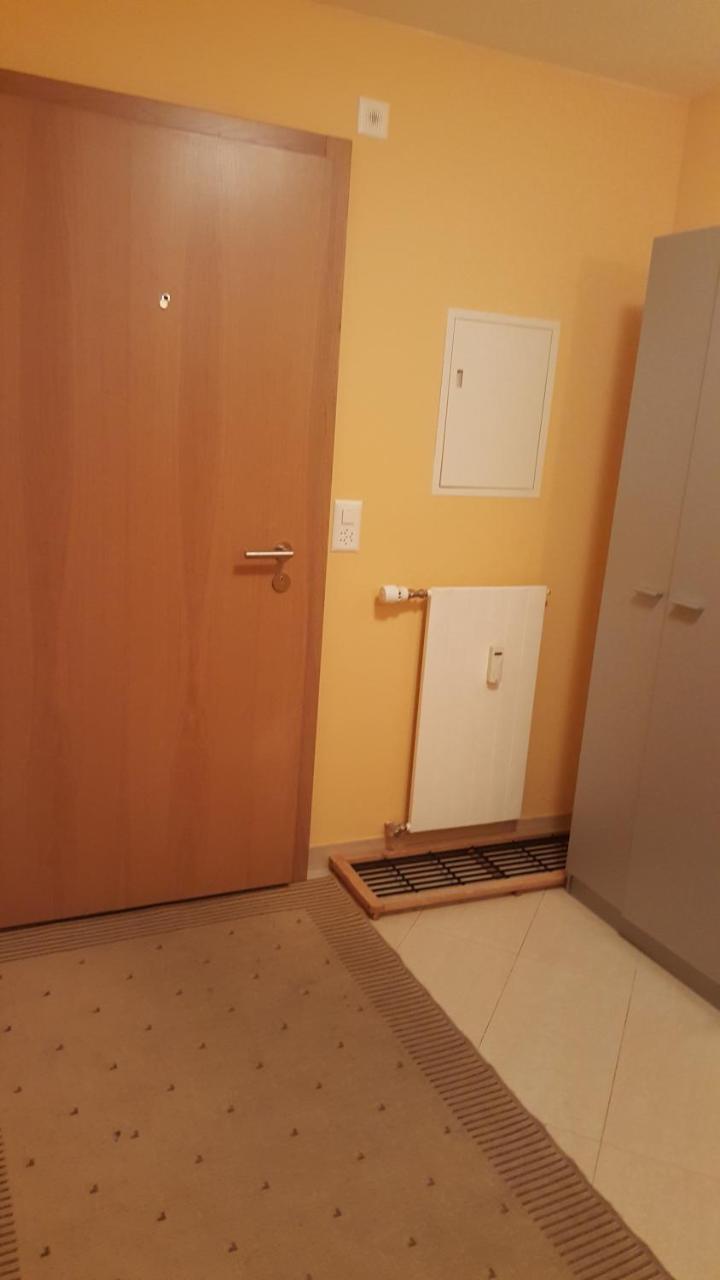 Apartment Viktoria Zermatt Ngoại thất bức ảnh
